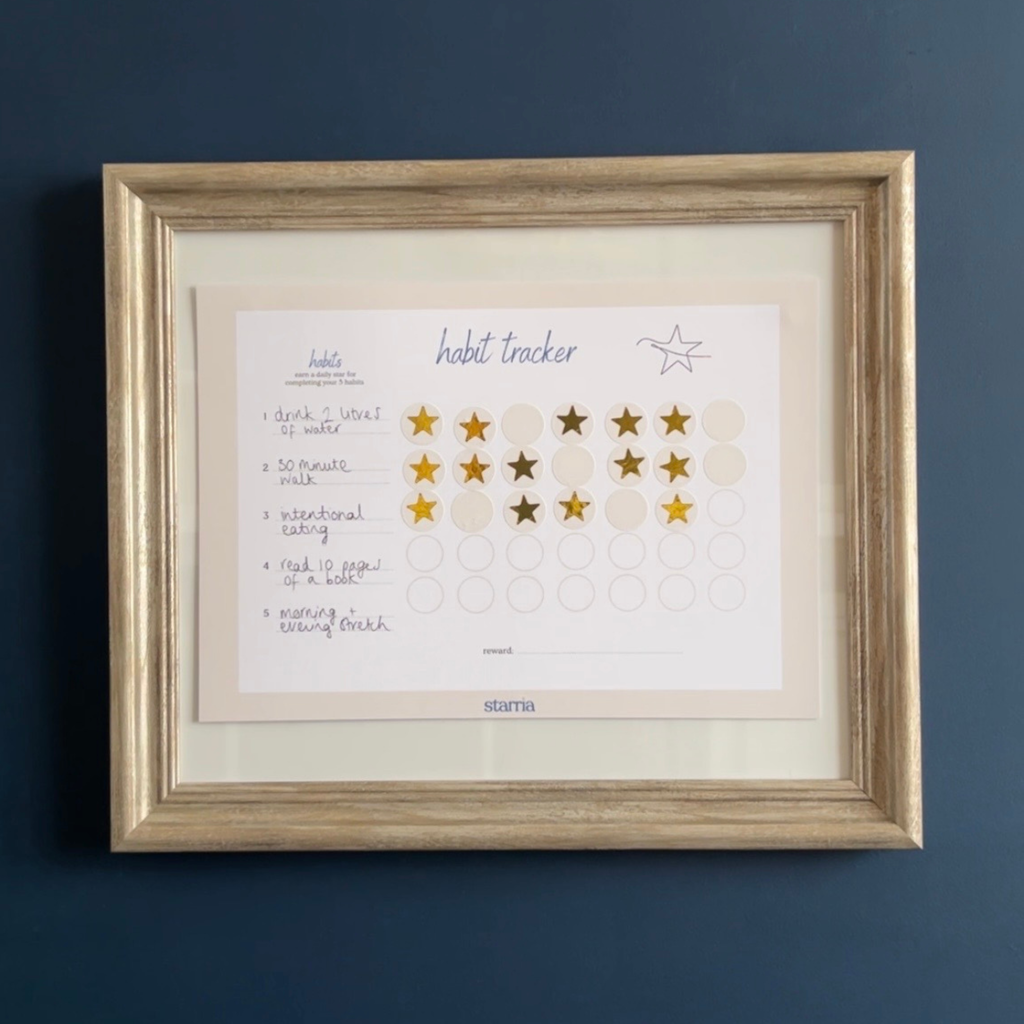 The Habit Tracker